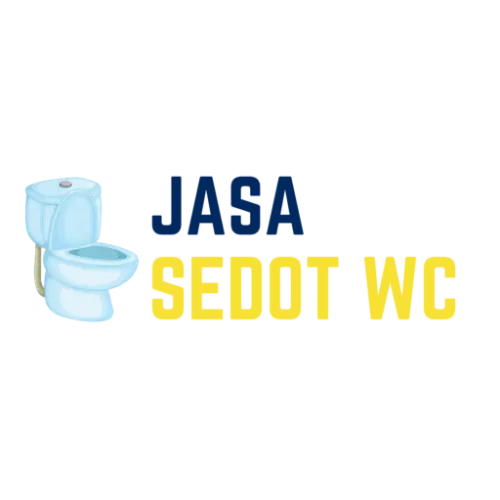 Sedot WC Mampet  di Pejaten Barat